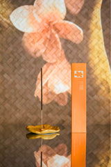 6PM Gratitude Incense