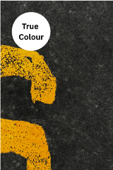 The You're Gold Tee