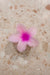Frangipani Claw Clip - Light Pink