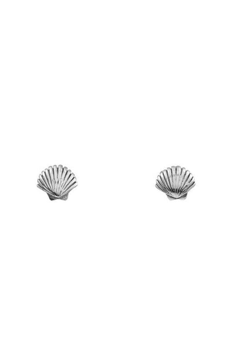 Dainty Seashell Studs - Silver